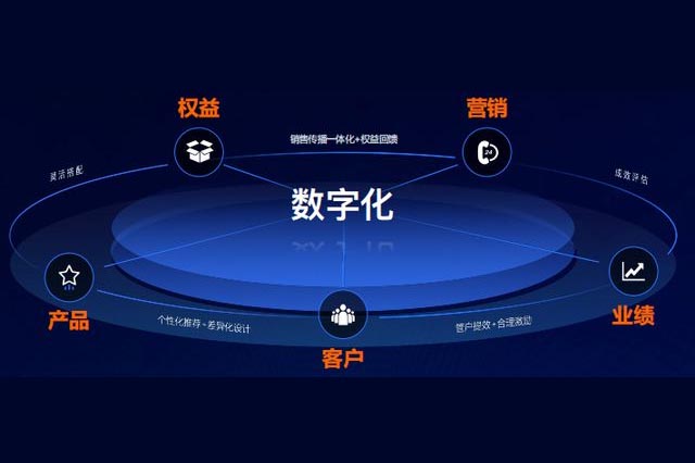 成功案例解析：数字化营销如何助力品牌